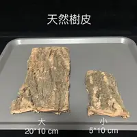 在飛比找蝦皮購物優惠-【野境】天然樹皮 香檳樹皮 樹皮造景 樹皮 造景 蜘蛛 蠍子