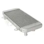 Aluminum Radiator Cooling Cooler Fit For Kawasaki Ninja 250R EX250 2008-2012 10