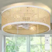 20" Rattan Caged Ceiling Fan with Light & Remote Control, Flush Mount Boho St...
