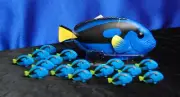 1 Dory 8 Mini Blue Tangs Party Favors Safari Ltd Dory - Blue Tang Fish