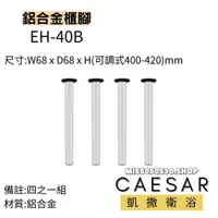 在飛比找蝦皮購物優惠-Caesar 凱撒衛浴  EH-40B 浴櫃腳 櫃腳 鋁合金