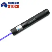 Rechargeable USB Laser Pointer Pen 1mw for Outdoor Pet Toy Office Use