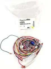 Pentair Wiring Harness MiniMax NT STD LN 6800 Controller 200 250 300 400 472375