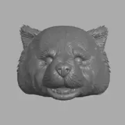 Animal Warrior Red Panda custom head for Mythic Legions & other action figures