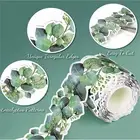 49FT Eucalyptus Border Bulletin Board Wall Decor Trim Leaf Decal Tropical Leaves