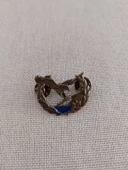 Greece - greek military badge (pin) of greek army commando (special forces)