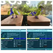 ARK ASCENDED PVE OFICIAL PAIR BABY ARGY WOLVERINE HIGH STATUS PS5/PC/XBOX
