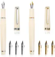 2Pcs Fountain Pen Set with Gift Case, Ivory White Fountain Pen Fine Nib with Con