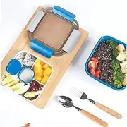 Msure Lunch Box With Partition & Spoon for Adults For Office lunch for Kids BLUE