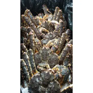 [立洋水產]熱銷活體帝王蟹 2.5kg以上 2580$/kg 秤重計價 冷藏
