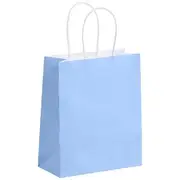 Otto Recycled Kraft Bag Small Ice Blue 5 Pack