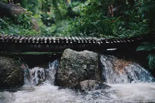 孟盼的2臥室獨棟住宅 - 500平方公尺/2間專用衛浴KHONBONDOI HOMESTAY