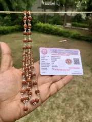 925 Silver + LAB CERTIFIED Natural 5 Mukhi RUDRAKSHA Mala ROSARY 54+1 Beads