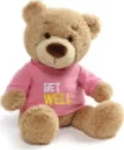 GUND 4060771 Get Well Pink T Shirt Teddy Bear Stuffed Animal Plush, Tan, 31.75 cm