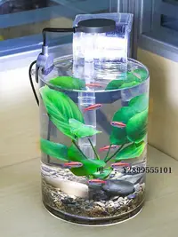 在飛比找Yahoo!奇摩拍賣優惠-玻璃魚缸森森圓形魚缸玻璃桌面客廳家用生態小型圓柱造景全套金魚