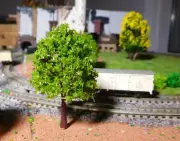 20 Maigrüne Deciduous Trees, 75 MM High