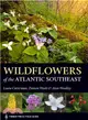 Wildflowers of the Atlantic Southeast