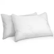 Starry Eucalypt Standard Size Memory Foam Pillow Twin Pack Cool Gel