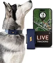 PAJ PET Tracker for Dogs - Worldwide Live Tracking + Health Monitoring + Runaway Alerts - Up to 10 Days Battery Saver - Glowing LED Cases - Waterproof (IP67) - Fits Any Collar - Blue