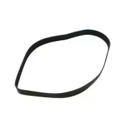 Replacement Part For Bissell 2, 2031730, 203-1730 61C5W Total Floors Pet Mylar B