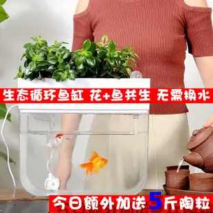 【魚菜共生】小魚缸免換水生態金魚缸客廳家用桌面小型魚菜共生系統懶人水族箱