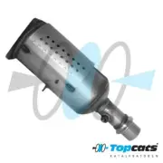 FAP DPF Peugeot 307, OE:174007, 1731Y7