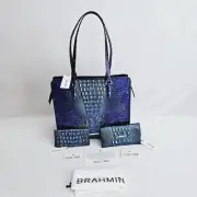 BRAHMIN ROYALTY OMBRE TIA W/CORDELIA WALLET & CHECKBOOK #HARD TO FIND#