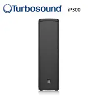 在飛比找蝦皮購物優惠-Turbosound iP300活動用主動式喇叭600W