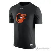 在飛比找蝦皮購物優惠-MLB球員版Baltimore Orioles Nike P