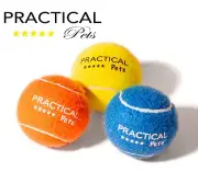 3-Pack Fetch Balls Set Dog Training Chew Toy Tennis Ball Size PRACTICAL PETS