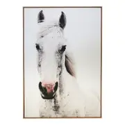 Framed Canvas/Resin 72x102cm Brumby Wall Hanging Art Decorative Home Display