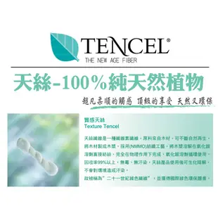 AGAPE亞加．貝【碧藍】100%純天絲 雙人/加大/特大 鋪棉兩用被薄床包四件組/鋪棉兩用被床罩八件組