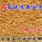 NEW YELLOW MILLET SEED WITH SHELL MILLET BIRD FOOD FEEDL