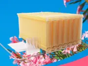 7x Certified Beekeeping Frames Bee Hives Frames Honey Frame for AUTO Beehive New