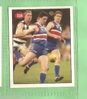 1996 AFL SELECT STICKER #234 FOOTSCRAY, 1995 FINALS SERIES HIGHLIGHTS