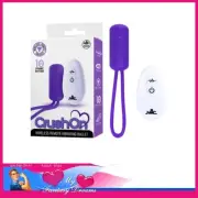Crush On | Wireless Remote Control Bullet USB 10 Speeds 2" Long Silicone Purple