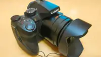 在飛比找Yahoo!奇摩拍賣優惠-LUMIX FZ300類單攝影機 (4K錄影好伙伴)焦段25