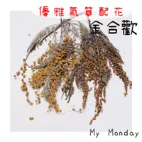 在飛比找蝦皮購物優惠-My Monday 衝評價！金合歡【永生金合歡】乾燥花 花材