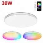 30W LED Smart Ceiling Lights WIFI Bluetooth Circle Light Dimmable Downlights