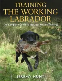 在飛比找博客來優惠-Training the Working Labrador: