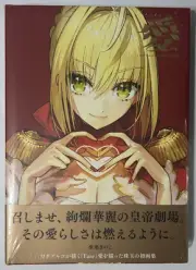 Fate/EXTRA Love Arco Wada FATE Hardcover Illustration Art Book