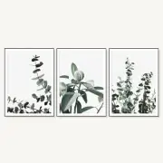 Set of 3 Eucalyptus Matching Wall Art Prints. Great Relaxing Home Decor