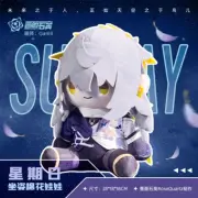 Honkai:Star Rail Sunday Robin 28cm Sitting Plush Doll Pillow Stuffed Toy Plushie