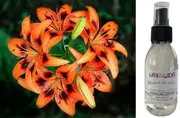Tigerlily Blossom - Room & Linen Spray