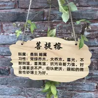 在飛比找蝦皮購物優惠-可客製化 【木牌】定製實木防水樹牌 花園裝飾木掛牌 幼兒園樹