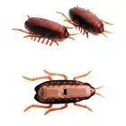 2PCS Electronic Cockroach Toy Pet Cat Puppy Toys Pet Cats Dogs Puppy Training