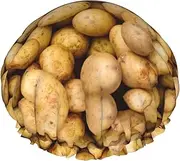 Garden Potatoes Print Various Activities Shower Cap Reusable Soft And Lightweight Bath Hair Cap Long Hair