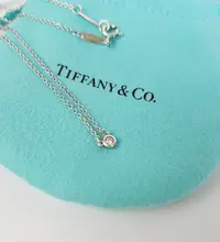 在飛比找Yahoo!奇摩拍賣優惠-TIFFANY & CO.   天然鑽石項鍊   By th