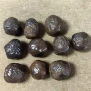 290g 10PCS Natural Genuine stony meteorite specimen from China F391