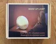 Wake Up Light Sunset/Sunrise Simulation FM Radio Dual Alarm Digital Clock New